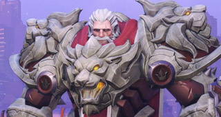 Skin Reinhardt Stein