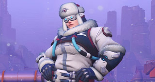 Skin Zarya Arctique