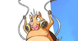 Chopper dans Pokemon